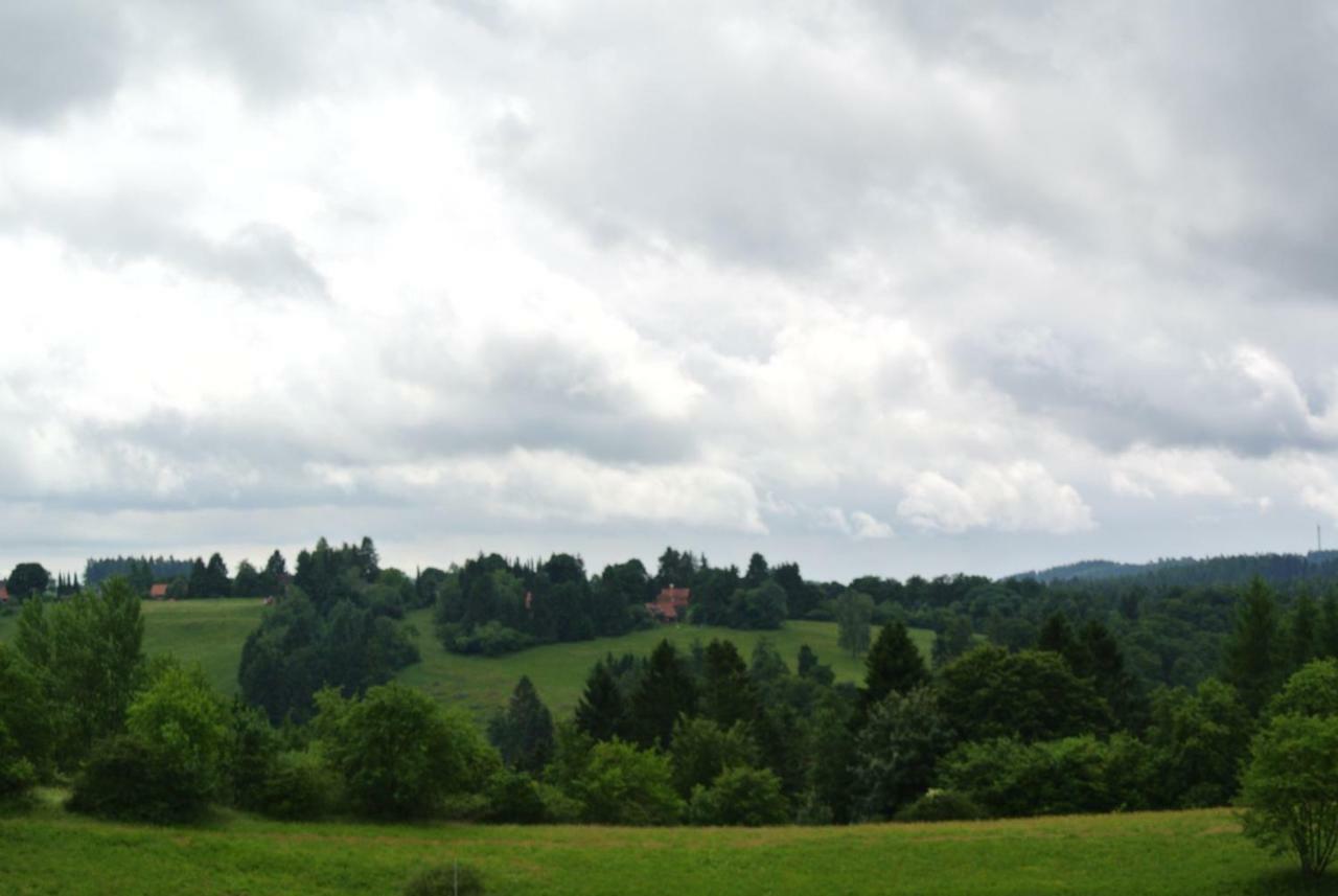 Ferienwohnung Harz-Flair 264 Hohegeiss Bagian luar foto