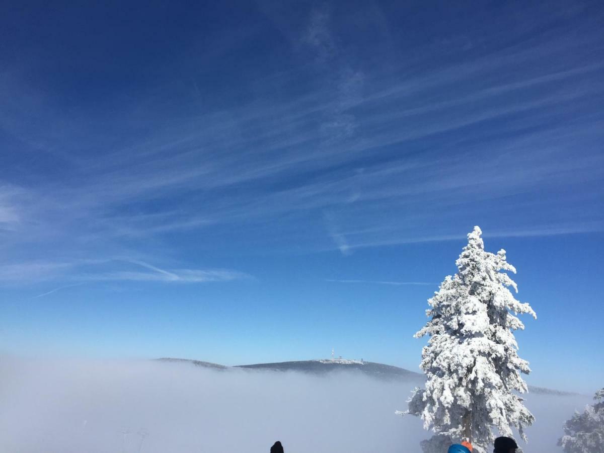 Ferienwohnung Harz-Flair 264 Hohegeiss Bagian luar foto